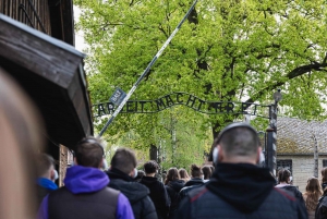 Krakow: Auschwitz-Birkenau Best Quality Guided Tour & Pickup