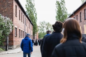 Krakow: Auschwitz-Birkenau Best Quality Guided Tour & Pickup