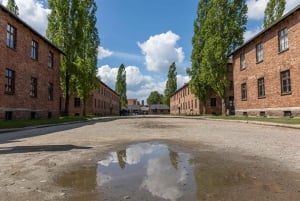 Krakow: Auschwitz-Birkenau Best Quality Guided Tour & Pickup