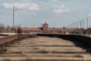 Krakow: Auschwitz-Birkenau Best Quality Guided Tour & Pickup