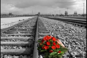 Krakow: Auschwitz-Birkenau Best Quality Guided Tour & Pickup