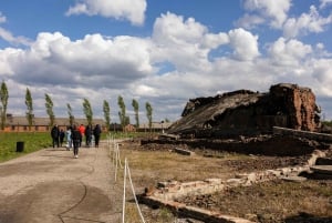 Krakow: Auschwitz-Birkenau Best Quality Guided Tour & Pickup