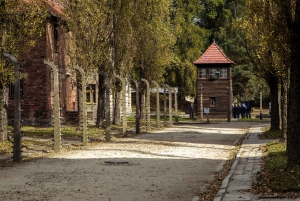 Krakow: Auschwitz-Birkenau Bus Transport Service