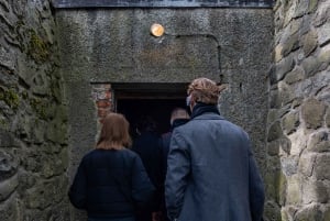 Z Krakowa: Auschwitz-Birkenau z przewodnikiem i odbiorem