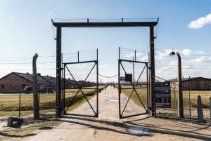 Z Krakowa: Auschwitz-Birkenau z przewodnikiem i odbiorem