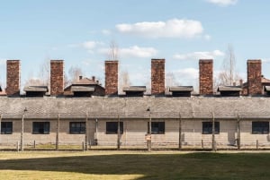 Z Krakowa: Auschwitz-Birkenau z przewodnikiem i odbiorem
