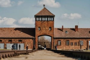 Z Krakowa: Auschwitz-Birkenau z przewodnikiem i odbiorem