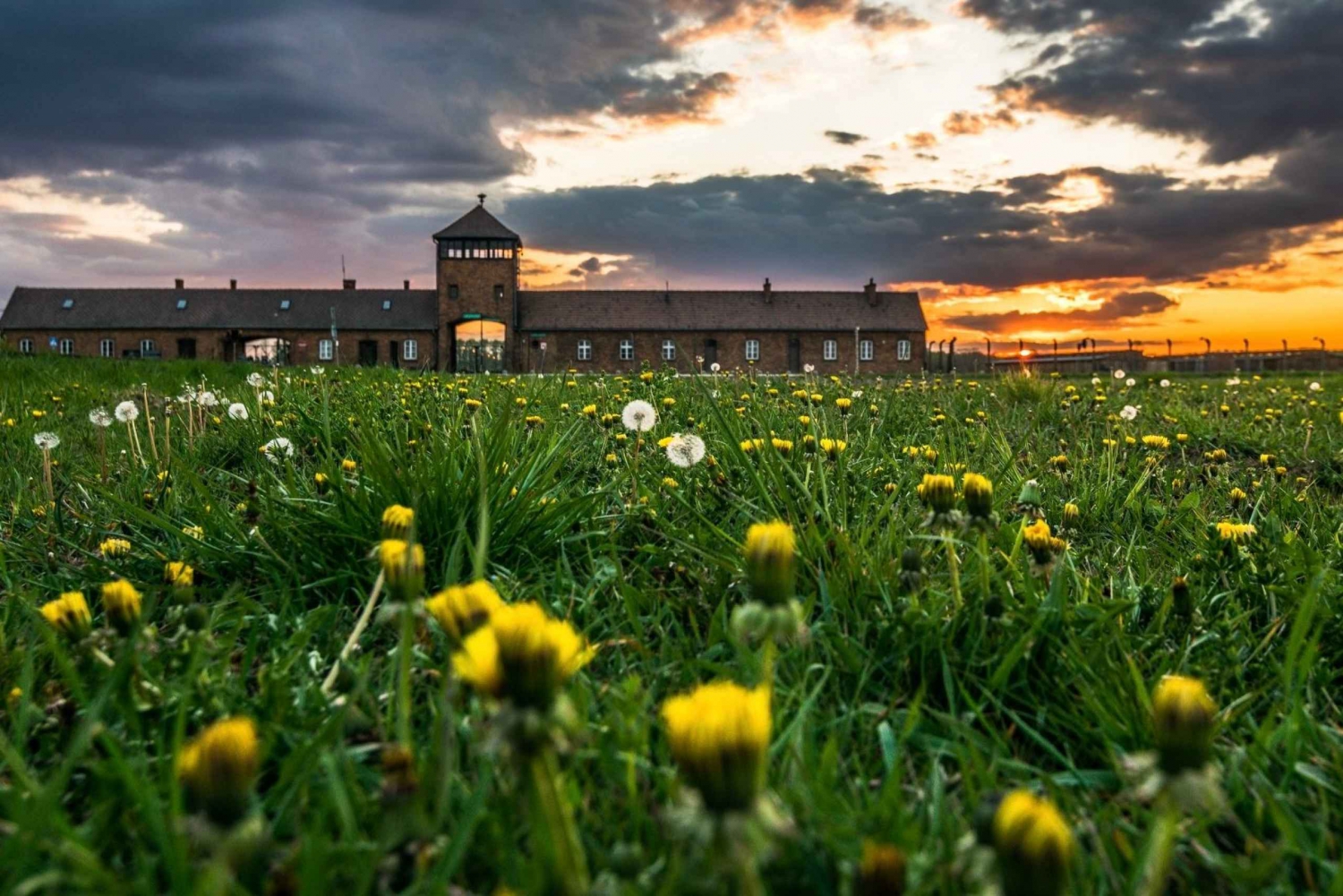 Krakova: Auschwitz-Birkenau Laajennettu opastettu kierros & vaihtoehdot