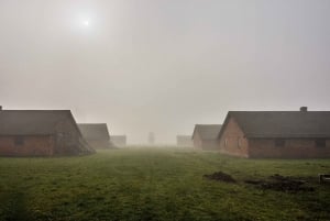 Cracovia: Auschwitz-Birkenau Visita guiada ampliada y opciones