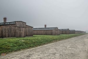 Kraków: rozszerzona wycieczka z przewodnikiem po Auschwitz-Birkenau i opcje