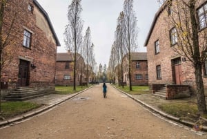 Kraków: rozszerzona wycieczka z przewodnikiem po Auschwitz-Birkenau i opcje