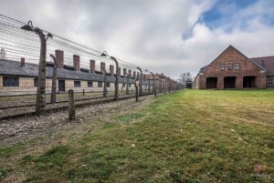 Cracovia: visita guidata estesa e opzioni di Auschwitz-Birkenau