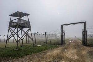 Krakow: Auschwitz-Birkenau Utökad guidad tur och alternativ