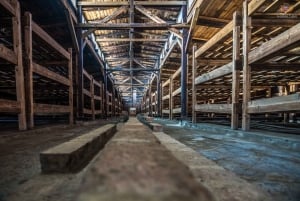 Krakau: Auschwitz-Birkenau Erweiterte geführte Tour & Optionen