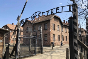 Krakow: Auschwitz-Birkenau Guided Tour & Holocaust Movie