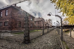 Krakow: Auschwitz-Birkenau Guided Tour & Holocaust Movie