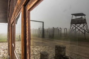 Cracovie : Visite guidée d'Auschwitz-Birkenau et film sur l'Holocauste