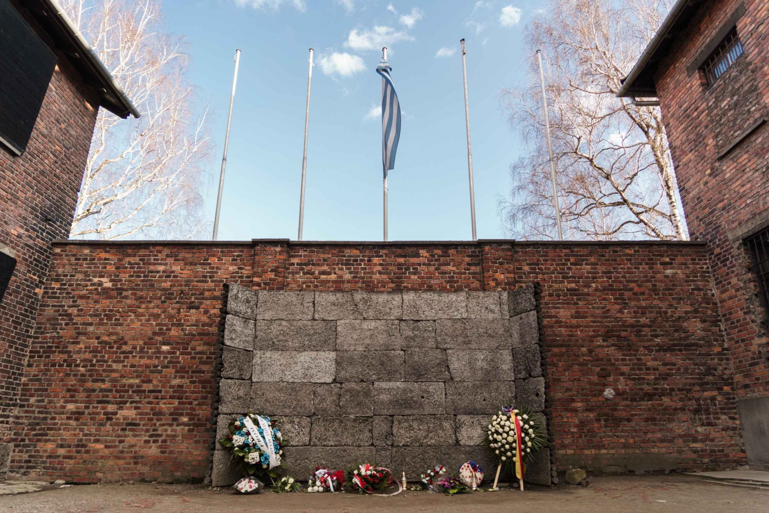 Cracóvia: Visita guiada a Auschwitz-Birkenau e tour particular