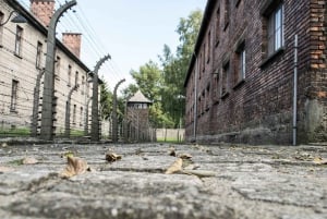 Kraków: Auschwitz-Birkenau guidet tur og privat transport
