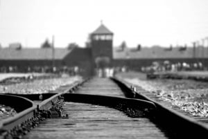 Krakova: Auschwitz-Birkenau Opastettu kierros ja hotellin kuljetus
