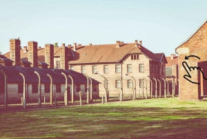 Krakow: Auschwitz-Birkenau Guided Tour with Hotel Transfer