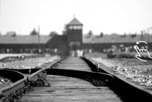 Krakow: Auschwitz-Birkenau Guided Tour with Hotel Transfer