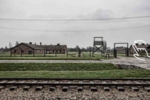 Krakow: Auschwitz-Birkenau Guided Tour with Hotel Transfer