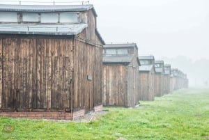 Krakow: Auschwitz-Birkenau Guided Tour with Pickup & Lunch