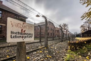 Krakow: Auschwitz-Birkenau Guided Tour with Pickup & Lunch