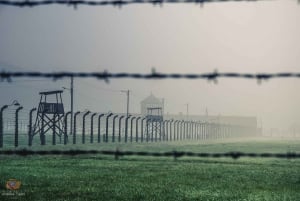 Krakow: Auschwitz-Birkenau Guided Tour with Pickup & Lunch