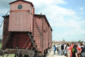 Krakow: Auschwitz-Birkenau Guided Tour with Pickup & Lunch