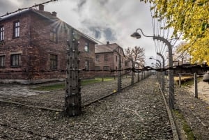 Krakow: Auschwitz-Birkenau Tour with Pickup & Lunch Option
