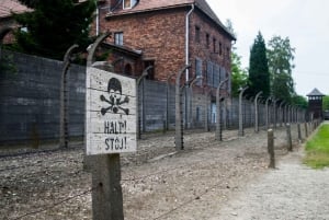 Krakow: Auschwitz-Birkenau Guided Tour with Transport