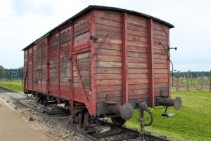 Krakow: Auschwitz-Birkenau Guided Tour or Self-Guided Tour