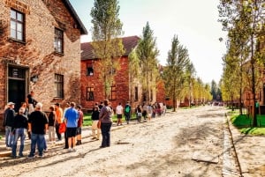 Krakow: Auschwitz-Birkenau Guided Tour with Transportation