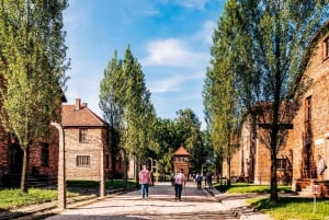 Krakow: Auschwitz-Birkenau Guided Tour with Transportation