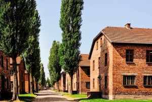 Krakow: Auschwitz-Birkenau Guided Tour with Transportation