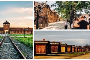 Krakow: Auschwitz-Birkenau Guided Tour with Transportation