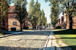 Krakow: Auschwitz-Birkenau Guided Tour with Transportation