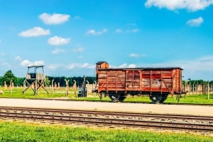 Krakow: Auschwitz-Birkenau Guided Tour with Transportation