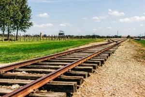 Krakow: Auschwitz-Birkenau Guided Tour with Transportation