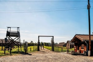 Krakow: Auschwitz-Birkenau Guided Tour with Transportation