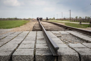 Desde Cracovia: Excursión a Auschwitz Birkenau con Traslado