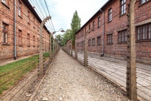 Da Cracovia: Tour Auschwitz Birkenau con trasporto