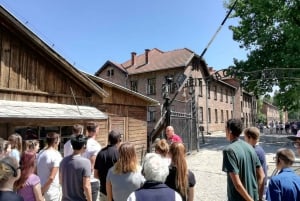 Da Cracovia: Tour Auschwitz Birkenau con trasporto