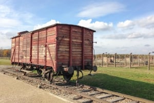 Desde Cracovia: Excursión a Auschwitz Birkenau con transporte