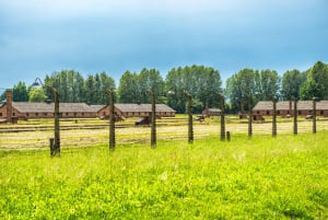 De Cracóvia: Excursão a Auschwitz Birkenau com transporte