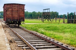 De Cracóvia: Excursão a Auschwitz Birkenau com transporte