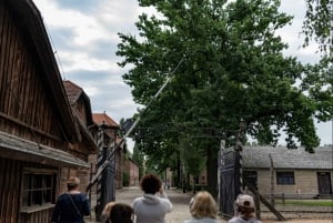 Krakow: Auschwitz-Birkenau Memorial & Museum Guided Tour
