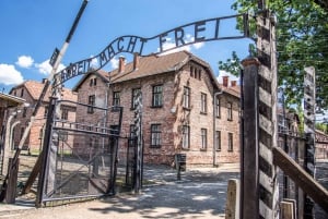 Da Cracovia: Tour guidato di Auschwitz e Birkenau e servizio di prelievo